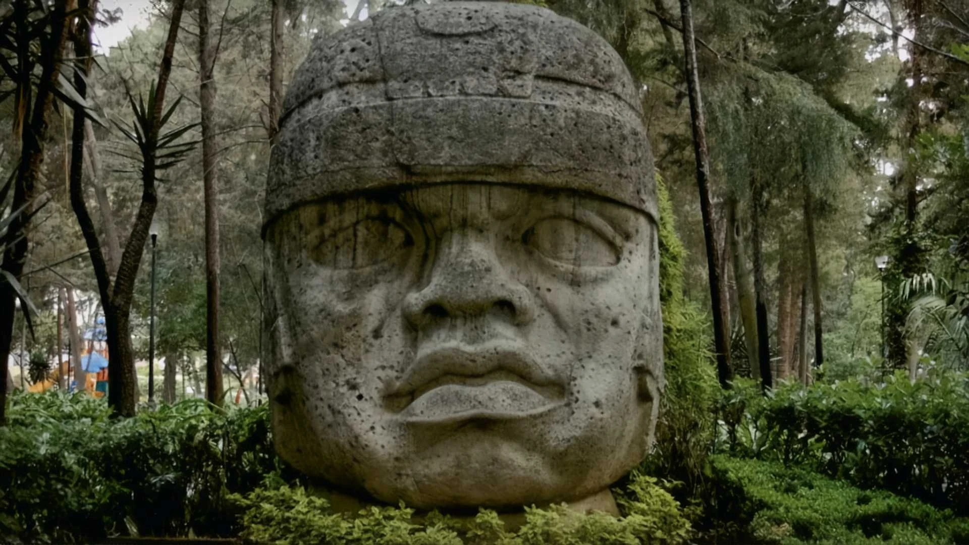 Eine große olmekische Steinskulptur ist im Freien ausgestellt, umgeben von Grün und Bäumen in einer bewaldeten Umgebung.